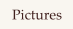 Pictures
