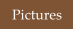 Pictures