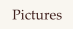 Pictures
