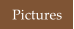 Pictures
